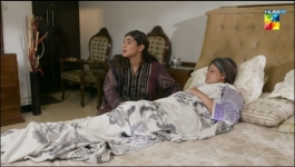 Wehshi - Episode 31 - 12th Dec 22